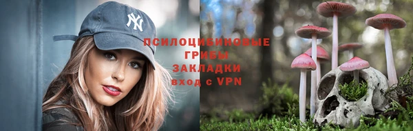 ешки Заводоуковск