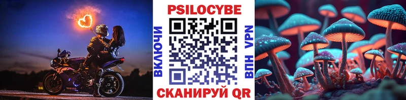 hydra онион  Струнино  Галлюциногенные грибы Psilocybe 